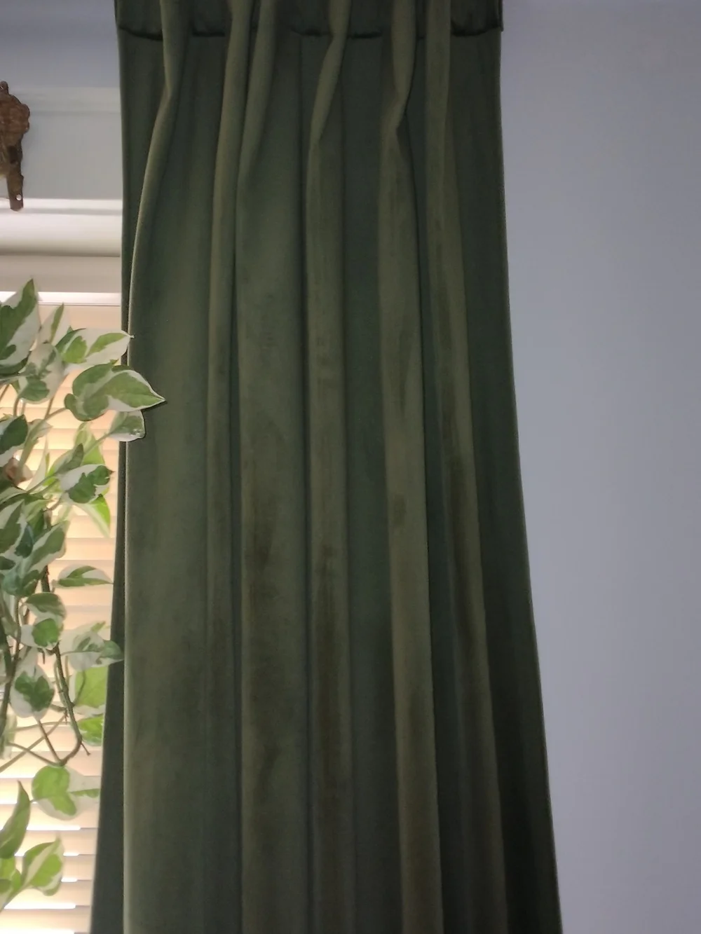 Plush Velvet Curtains (6) Panels in Olive Green 55